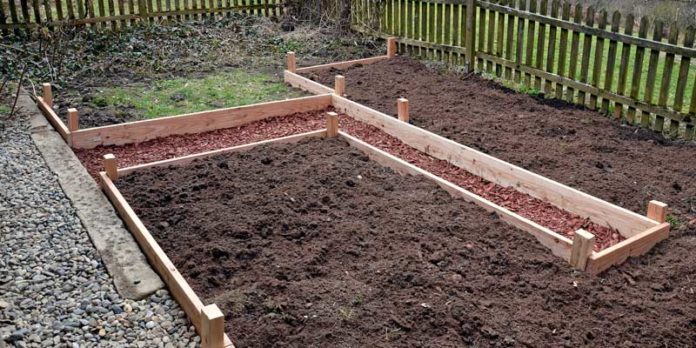 Beet anlegen - renovieren.net