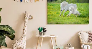 Bild mit weißem Pferd und Fohlen im Kinderzimmer