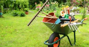 gartenwerkzeug