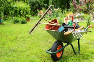 gartenwerkzeug