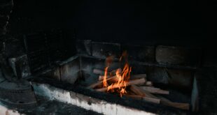 Schamottmörtel vs. Feuerzement: Der Vergleich