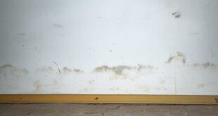 stockflecken-an-wand