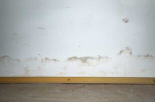 stockflecken-an-wand