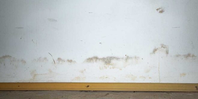 stockflecken-an-wand