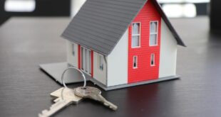 Ein Tag im Leben eines Profis: Ein Blick hinter die Kulissen unseres Reinigungsservice in Rheinfelden für exklusive Immobilien