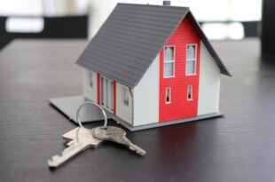Ein Tag im Leben eines Profis: Ein Blick hinter die Kulissen unseres Reinigungsservice in Rheinfelden für exklusive Immobilien
