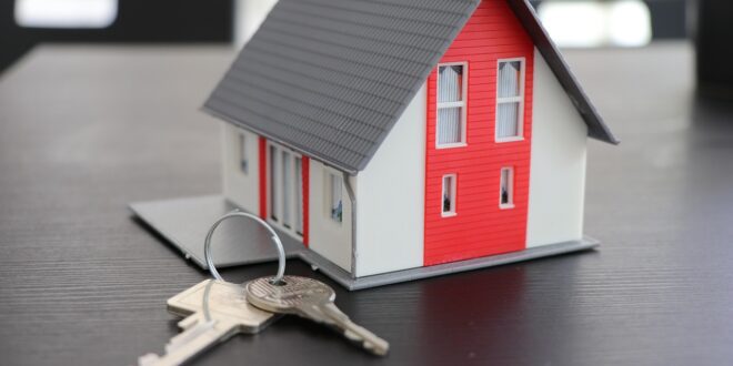Ein Tag im Leben eines Profis: Ein Blick hinter die Kulissen unseres Reinigungsservice in Rheinfelden für exklusive Immobilien