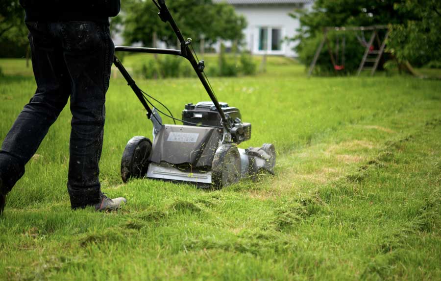 rasen-maehen