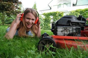 Rasen mähen und ruhezeiten