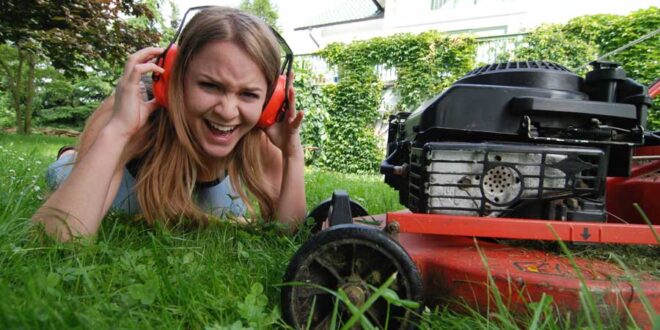 Rasen mähen und ruhezeiten