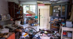 messiwohnung-renovieren