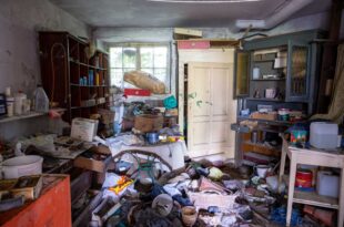 messiwohnung-renovieren