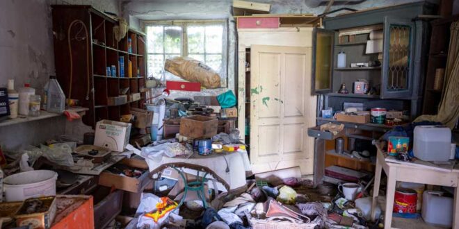 messiwohnung-renovieren