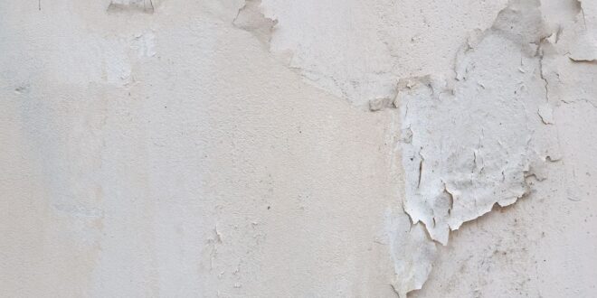 Feuchte Wand im Sockelbereich mit abplatzendem Putz und Salzausblühungen