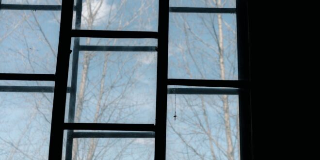 Fenster mit Glasscheiben und Blick auf kahle Bäume