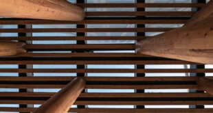Tragwerk aus Holzstützen und dichter Reihe von Holzbalken, von unten gegen den Himmel fotografiert