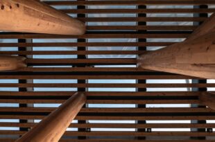 Tragwerk aus Holzstützen und dichter Reihe von Holzbalken, von unten gegen den Himmel fotografiert