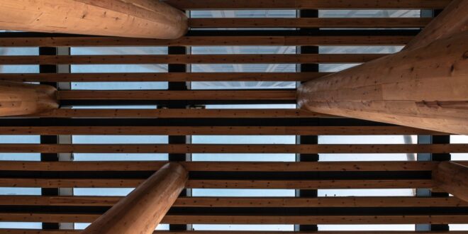 Tragwerk aus Holzstützen und dichter Reihe von Holzbalken, von unten gegen den Himmel fotografiert