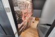 Treppe in einen Keller hinab mit freiliegender Ziegelwand und Holzstufen