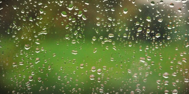 Regentropfen auf einer Fensterscheibe vor unscharfem grünem Hintergrund