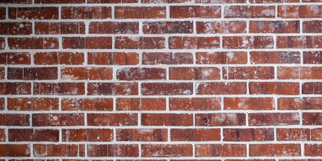 Rote Ziegelwand mit weißen Salzausblühungen an Steinen und Fugen